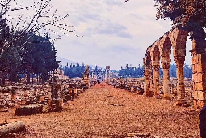Baalback , Anjar & Chateau Ksara - What the private vehicle adds
