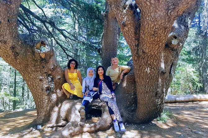 Beirut to Qadisha Valley, Bcharri & Cedar: Daily Tours with Lunch - Deir Qozhaya and the monastery of Saint Anthony the Great