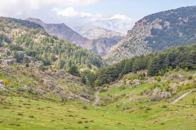 Cedars, Bsharre & Kozhaya Day Tour - Five things to know before booking