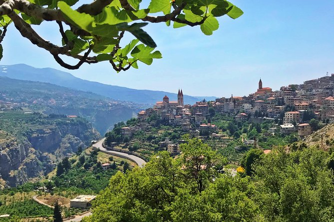 Cedars, Bsharre & Kozhaya Day Tour - Guides, pacing, and the human side of the day