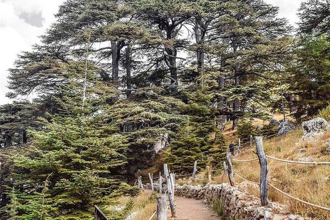 Cedars of Lebanon, Qozhaya, & Bcharre - With Lunch (4G on Board) - Bsharri and the Holy Qadisha Valley