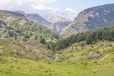 Guided Small-Group Tour to Qadisha, Bcharee & Cedars with Lunch