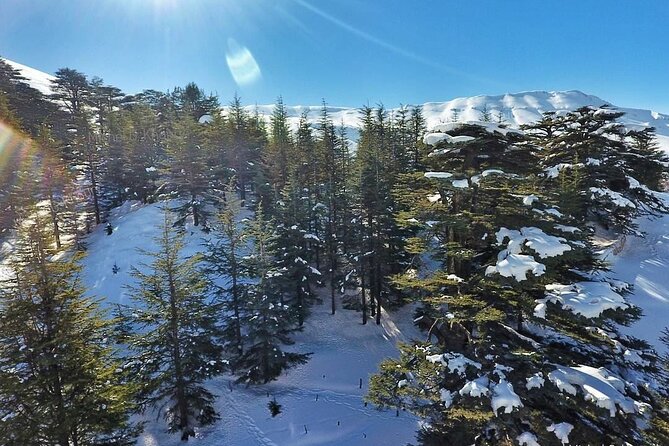 Cedars of Lebanon, Qozhaya, & Bcharre - With Lunch (4G on Board) - Kozhaya Monastery and the Monastery of St. Anthony