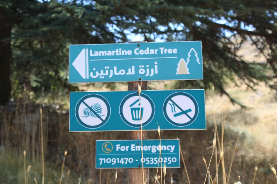 Cedars Shouf & Beiteddine w/pick-up, guide, entries+lunch - Leaving Beirut for the Shouf Mountains