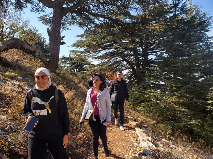 Cedars Shouf & Beiteddine w/pick-up, guide, entries+lunch - Beiteddine Palace and its 19th-century design