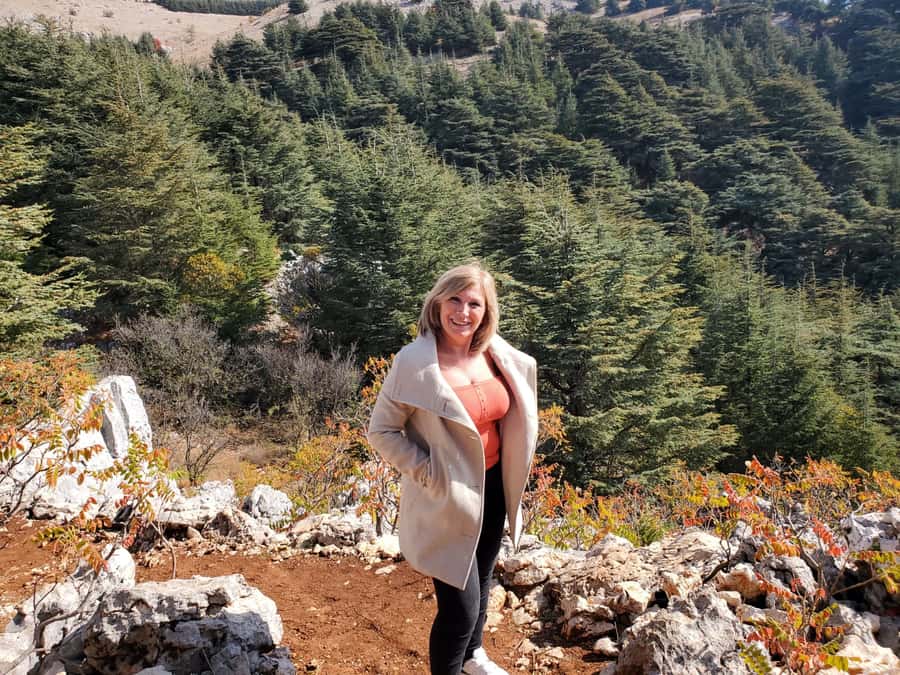 Cedars Shouf & Beiteddine w/pick-up, guide, entries+lunch - What the $140 price really covers