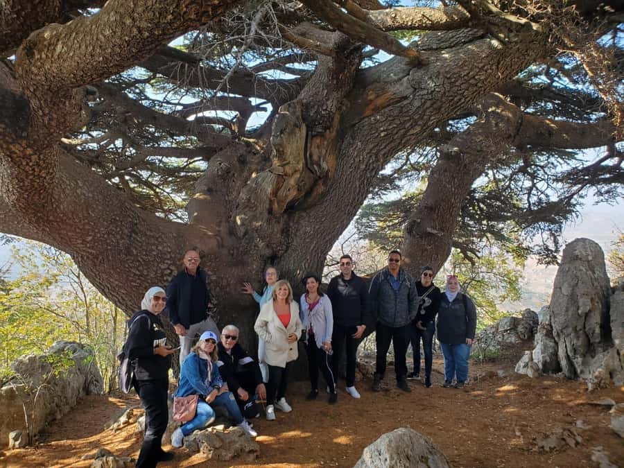 Cedars Shouf & Beiteddine w/pick-up, guide, entries+lunch - Who will enjoy this day most