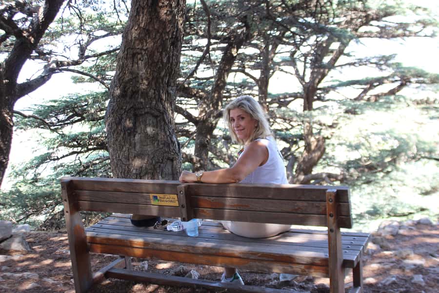Cedars Shouf & Beiteddine w/pick-up, guide, entries+lunch - Walking among the ancient cedars