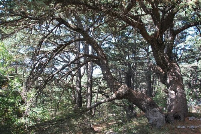 Chouf Charm: Private Journey Through Lebanon's Historic Heartland - Deir el Qamar: A village with several faiths in one compact visit