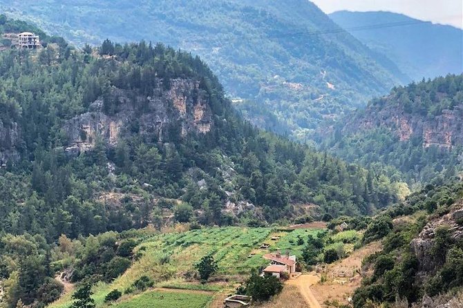 DeirElkamar, Beitdeen, Moussa Palace, EinwZien Grotto,Full-Day Trip PRIVATE-CAR - What the driver adds to the day