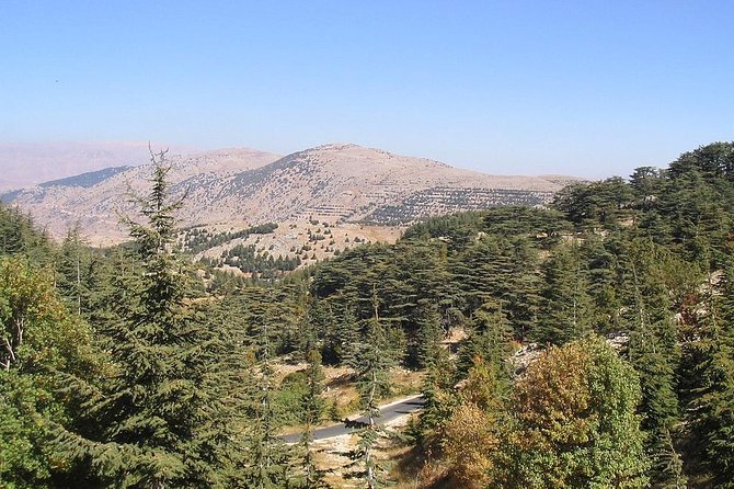 DeirElkamar, Beitdeen, Moussa Palace, EinwZien Grotto,Full-Day Trip PRIVATE-CAR - Beiteddine Palace and its art-filled rooms