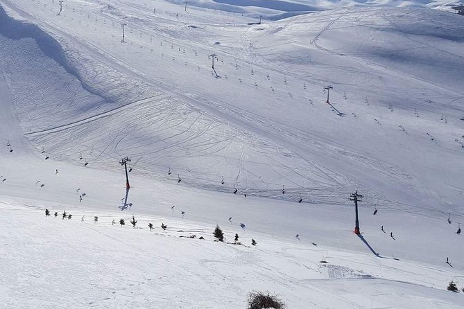 Faraya Ski Resort Lebanon - What the $60 Price Really Buys You