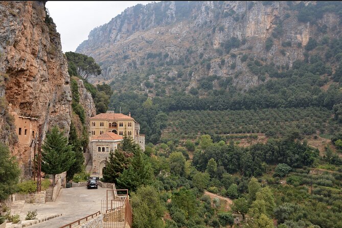 Full-Day Guided Tour of Northern Lebanon with Hotel Pickup - Walking among the Cedars of God