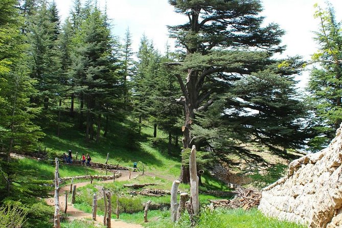 Full-Day Guided Tour of Northern Lebanon with Hotel Pickup - Bcharre, Gibran’s mountain home