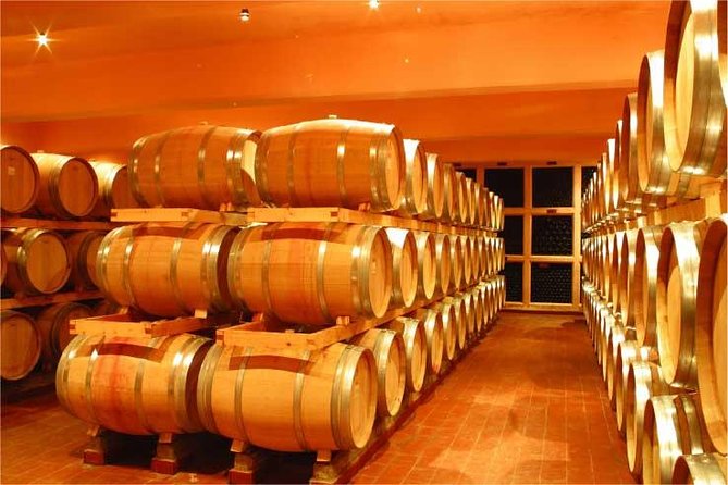 Full-Day Private Wine Tasting Tour - Chateau St Thomas and Lebanon’s arak tradition