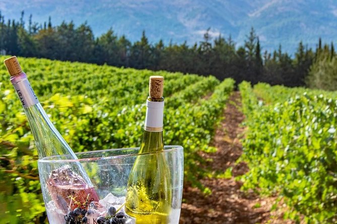 Full-Day Private Wine Tasting Tour - Wine, arak, and lunch at your own cost