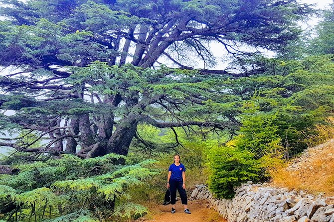 Guided Full-Day Private Trip to Cedars, Baalbek and Chateau Ksara - A short stop at Sayyeda Khawla Mosque