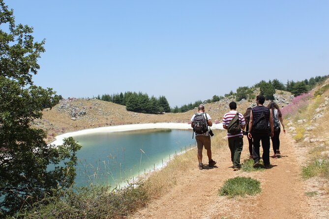 Guided small group to Cedars Reserve & Beiteddine w/lunch+entries - Three hours among the Chouf cedars