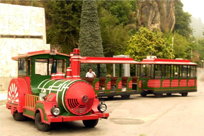 Jeita Grotto - Harissa - Byblos Tour (All Inclusive) - Who Will Get the Most From This Experience