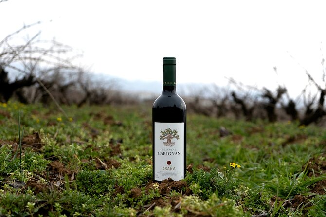 Journey Through Lebanese Wine: A Private Tour in the Beqaa Valley - Château Kefraya at 1,000 meters