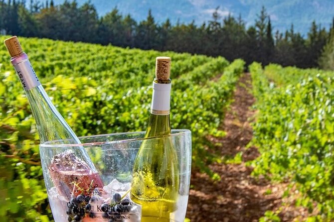Journey Through Lebanese Wine: A Private Tour in the Beqaa Valley - Is $65 a good value?