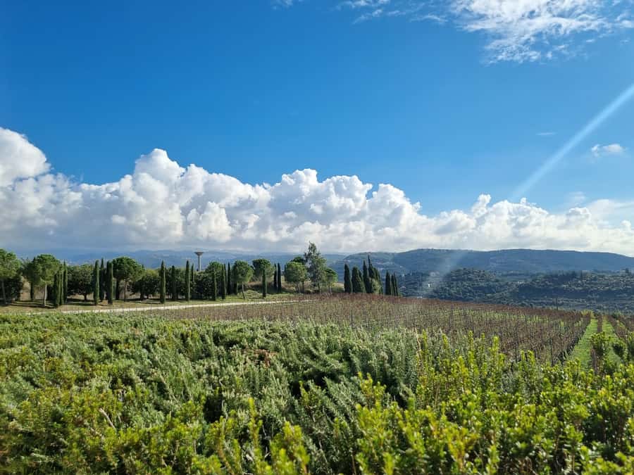 Lebanese wineries guided tour with tastings & lunch - Why the Bekaa Valley matters to Lebanese wine