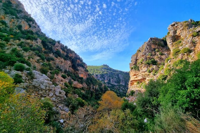 Lebanon Waterfalls Tour - What the $85 price really covers