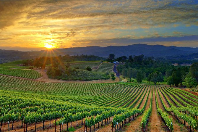Lebanon Wine Tasting Tour From Beirut - Chateau Rayak and the longest winery visit