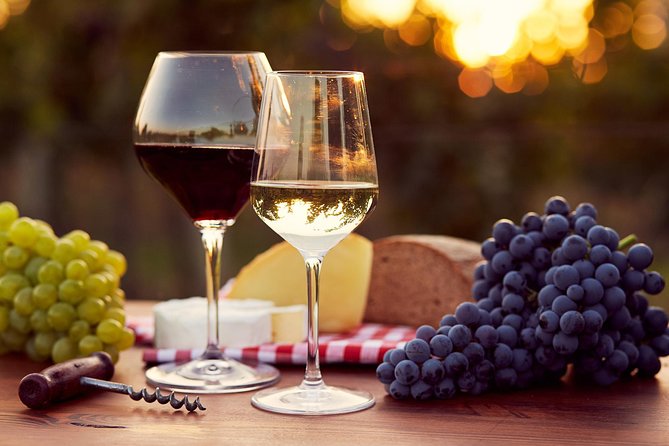 Lebanon Wine Tasting Tour From Beirut - Group size, timing, and comfort