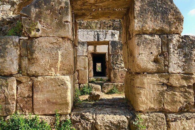 Private Tour: Tyre, Sidon and Maghdouche Day Trip from Beirut - Who should book this Tyre, Sidon, and Maghdouché tour?
