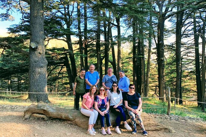 Private Trip to Qadisha Valley, Bcharri and Cedars of God - Leaving Beirut for Lebanon’s northern mountains