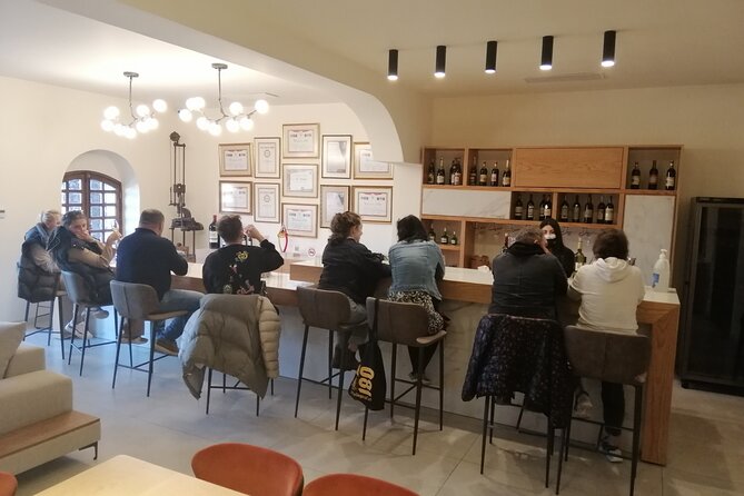 PRIVATE Wine Tasting Tour to the Bekaa Valey Fabulous Wineries - Château Kefraya: your first cellar introduction