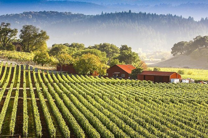 PRIVATE Wine Tasting Tour to the Bekaa Valey Fabulous Wineries - Is $113.34 per person a fair price?
