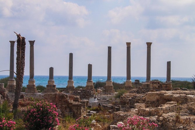 Small-Group Tour to Sidon, Tyre and Maghdouche with Lunch and Tickets - Tyre’s Al-Bass archaeological site