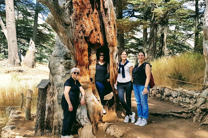 Small-Group Tour with Lunch to Qadisha Valley, Bcharre and Cedars - Qadisha Valley, where caves and monasteries shape the day
