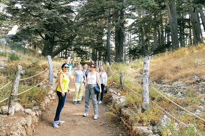 Small-Group Tour with Lunch to Qadisha Valley, Bcharre and Cedars - The Cedars of God, Lebanon’s national emblem