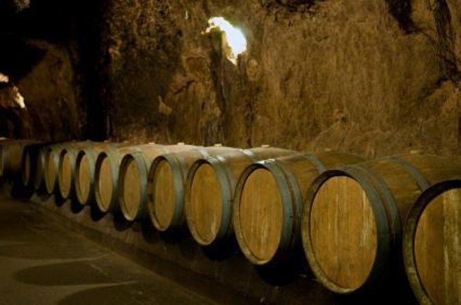 Wine Tasting and Culture - Key points to know before booking
