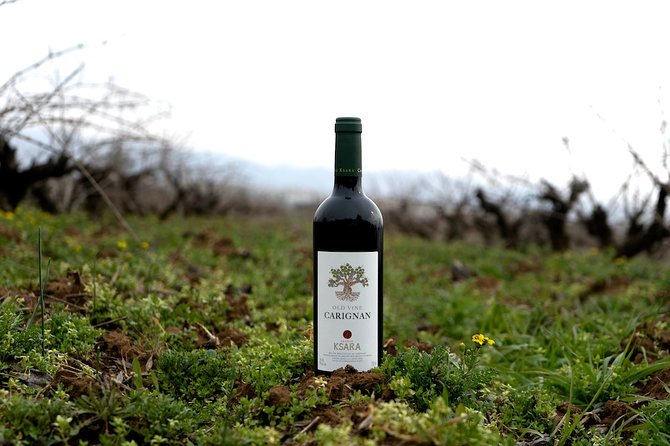 Wine Tasting and Culture - The private vehicle and guide service