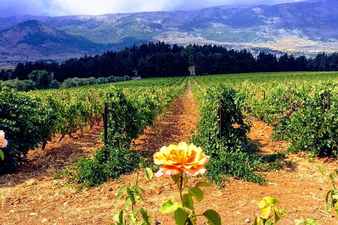 Wine Tasting and Culture - Entering Baalbek’s Roman sanctuary